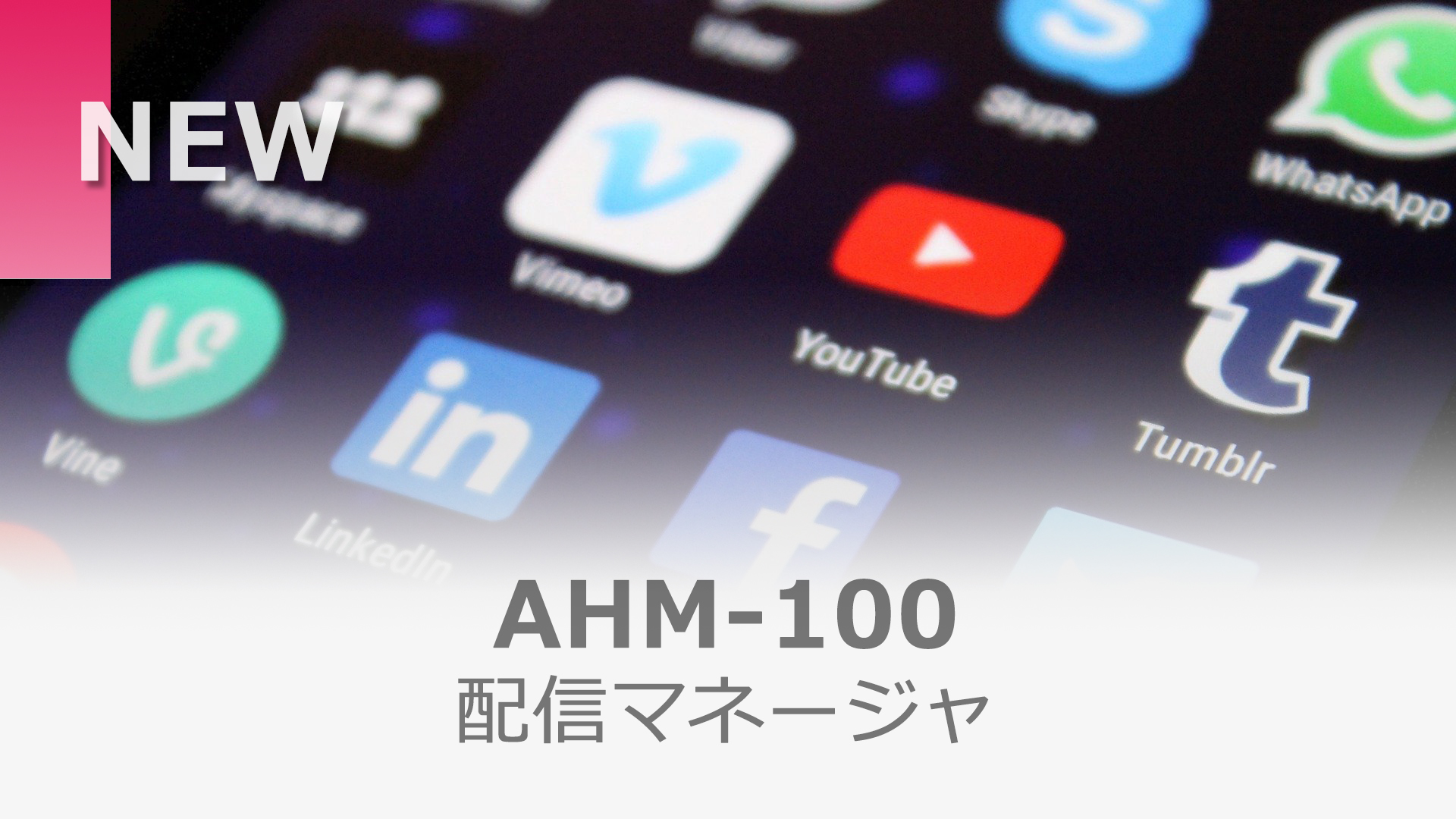 ahm-100